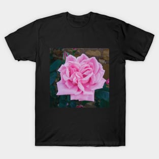 Vintage pink rose T-Shirt